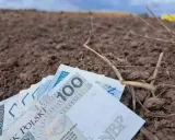 Pieniądze na ziemi, symbolizujące koszty rolnictwa. Zastanawiasz się, ile wynosi składka KRUS na kwartał?