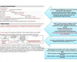 Formularz z danymi pełnomocnika i treścią pisma. Wpisano dane pełnomocnika, adres, e-mail. W punkcie 7.1 opisano postulat dotyczący strefy wielofunkcyjnej dla działki w Wołominie.