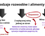 Rodzaje rozwodów i alimenty: ugodowy (do 5 lat, w niedostatku), z wyłącznej winy (dożywotnio lub w niedostatku), wina obu stron (do 5 lat, w niedostatku).